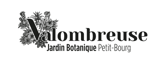 Jardin de Valombreuse